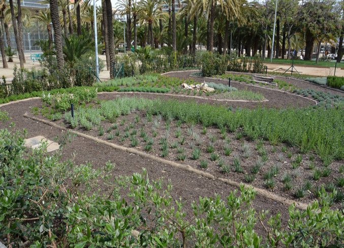 Biodiversitat_PlaClima Biodiversitat_PlaClima
