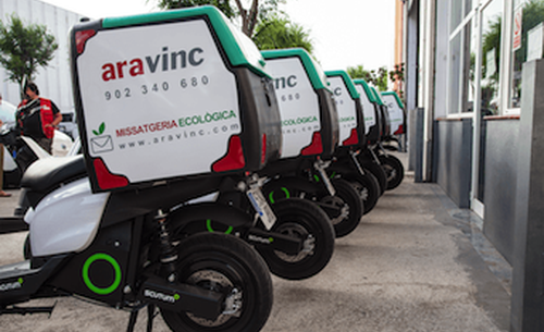 Ara_Vinc