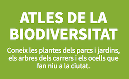 Atles