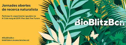 BioBlitzBcn