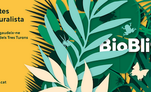 BioBlitzBcn