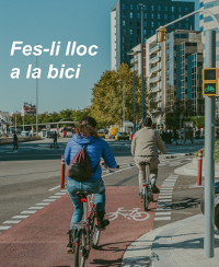 Bici_cat