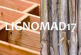 lignomad17